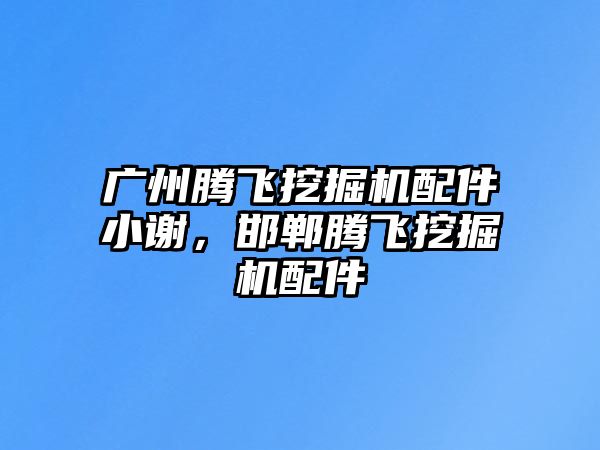 廣州騰飛挖掘機配件小謝，邯鄲騰飛挖掘機配件