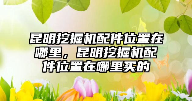 昆明挖掘機配件位置在哪里，昆明挖掘機配件位置在哪里買的