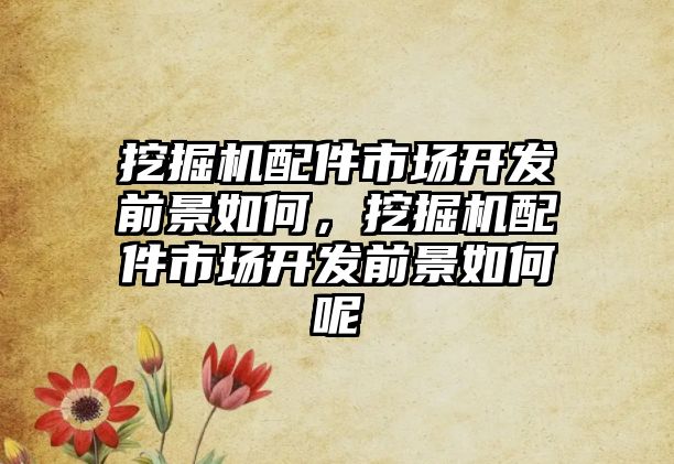 挖掘機(jī)配件市場(chǎng)開(kāi)發(fā)前景如何，挖掘機(jī)配件市場(chǎng)開(kāi)發(fā)前景如何呢