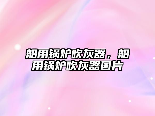 船用鍋爐吹灰器，船用鍋爐吹灰器圖片
