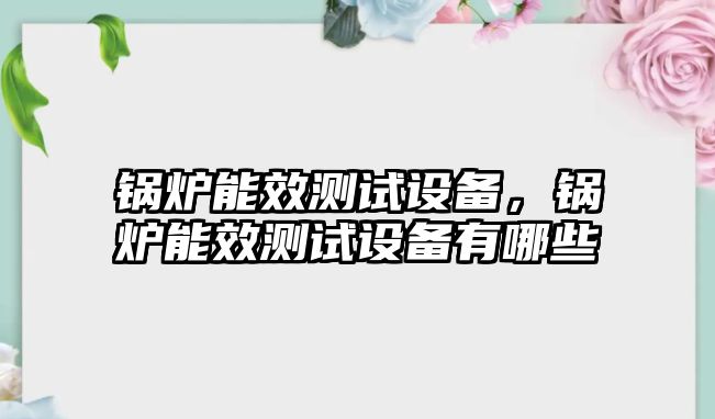 鍋爐能效測(cè)試設(shè)備，鍋爐能效測(cè)試設(shè)備有哪些