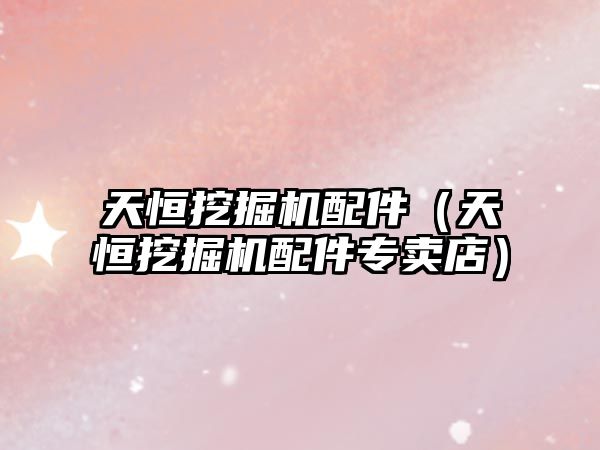 天恒挖掘機配件（天恒挖掘機配件專賣店）
