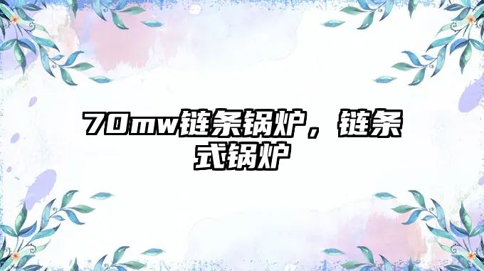 70mw鏈條鍋爐，鏈條式鍋爐