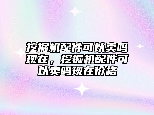 挖掘機配件可以賣嗎現(xiàn)在，挖掘機配件可以賣嗎現(xiàn)在價格