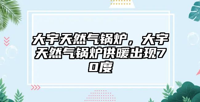 大宇天然氣鍋爐，大宇天然氣鍋爐供暖出現(xiàn)70度