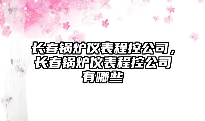 長春鍋爐儀表程控公司，長春鍋爐儀表程控公司有哪些