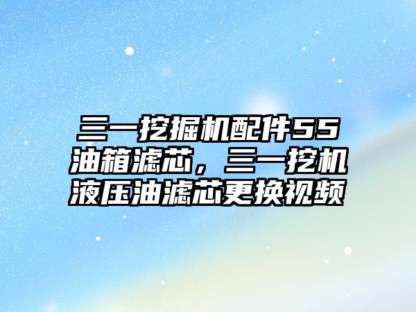 三一挖掘機(jī)配件55油箱濾芯，三一挖機(jī)液壓油濾芯更換視頻