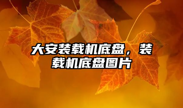 大安裝載機(jī)底盤，裝載機(jī)底盤圖片