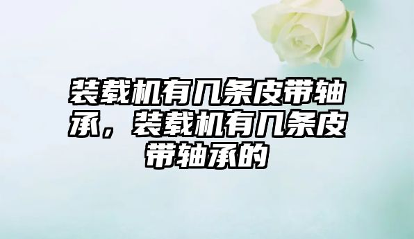 裝載機有幾條皮帶軸承，裝載機有幾條皮帶軸承的