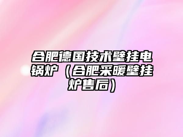 合肥德國技術(shù)壁掛電鍋爐（合肥采暖壁掛爐售后）