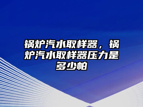 鍋爐汽水取樣器，鍋爐汽水取樣器壓力是多少帕