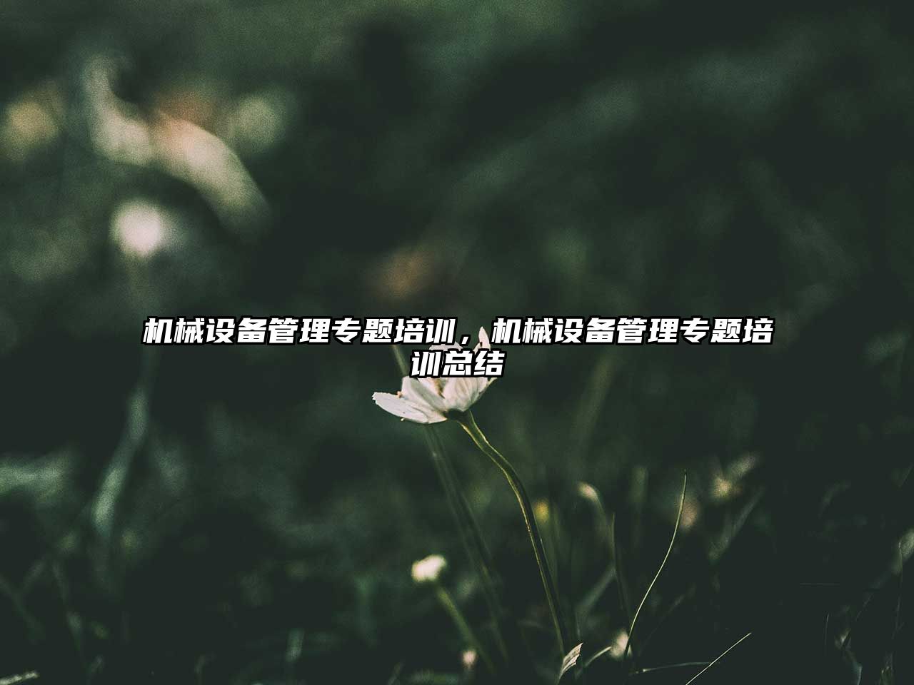 機(jī)械設(shè)備管理專題培訓(xùn)，機(jī)械設(shè)備管理專題培訓(xùn)總結(jié)