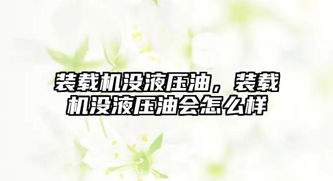 裝載機(jī)沒液壓油，裝載機(jī)沒液壓油會怎么樣