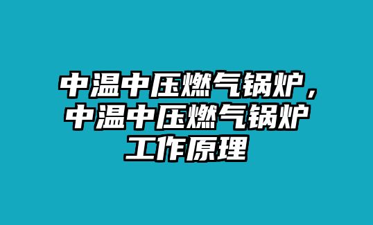 中溫中壓燃?xì)忮仩t，中溫中壓燃?xì)忮仩t工作原理
