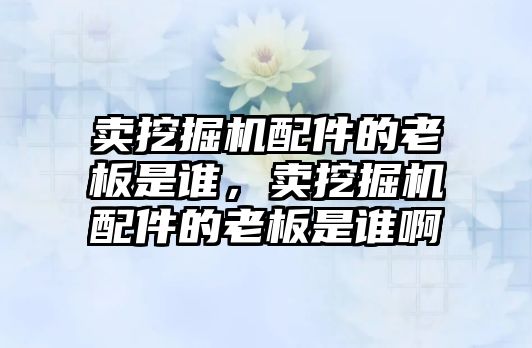 賣挖掘機配件的老板是誰，賣挖掘機配件的老板是誰啊