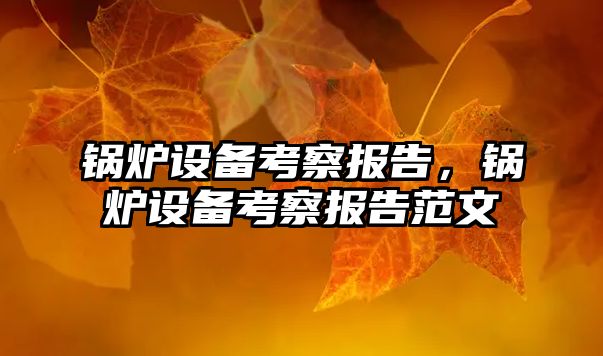 鍋爐設(shè)備考察報(bào)告，鍋爐設(shè)備考察報(bào)告范文