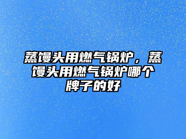 蒸饅頭用燃?xì)忮仩t，蒸饅頭用燃?xì)忮仩t哪個(gè)牌子的好