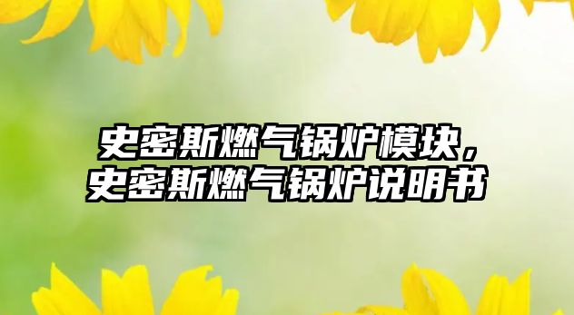 史密斯燃?xì)忮仩t模塊，史密斯燃?xì)忮仩t說明書
