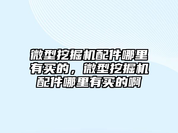 微型挖掘機(jī)配件哪里有買的，微型挖掘機(jī)配件哪里有買的啊