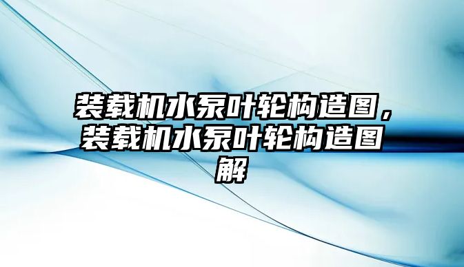 裝載機(jī)水泵葉輪構(gòu)造圖，裝載機(jī)水泵葉輪構(gòu)造圖解