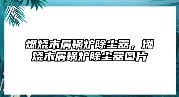 燃燒木屑鍋爐除塵器，燃燒木屑鍋爐除塵器圖片