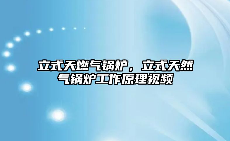立式天燃?xì)忮仩t，立式天然氣鍋爐工作原理視頻