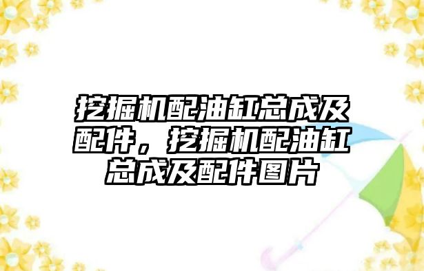 挖掘機(jī)配油缸總成及配件，挖掘機(jī)配油缸總成及配件圖片