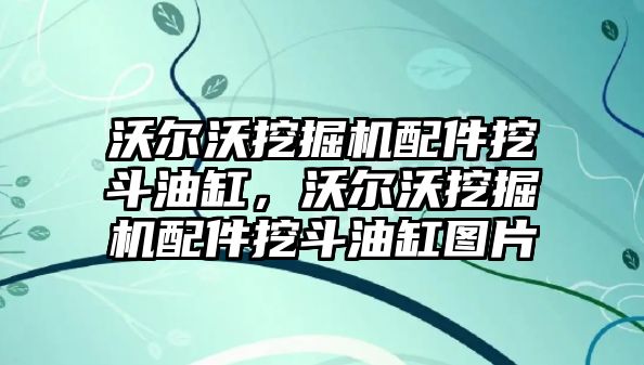 沃爾沃挖掘機(jī)配件挖斗油缸，沃爾沃挖掘機(jī)配件挖斗油缸圖片
