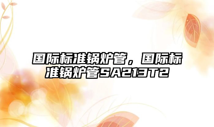 國際標準鍋爐管，國際標準鍋爐管SA213T2