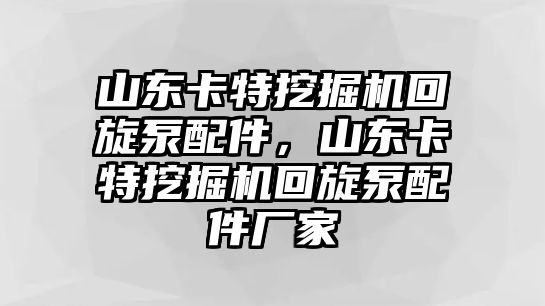 山東卡特挖掘機(jī)回旋泵配件，山東卡特挖掘機(jī)回旋泵配件廠家