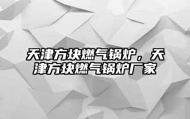 天津方塊燃?xì)忮仩t，天津方塊燃?xì)忮仩t廠家