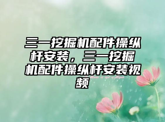 三一挖掘機(jī)配件操縱桿安裝，三一挖掘機(jī)配件操縱桿安裝視頻