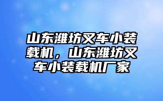 山東濰坊叉車小裝載機(jī)，山東濰坊叉車小裝載機(jī)廠家