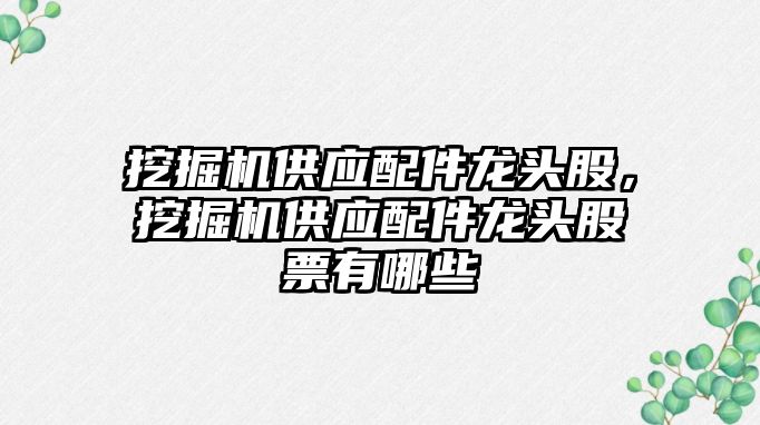 挖掘機(jī)供應(yīng)配件龍頭股，挖掘機(jī)供應(yīng)配件龍頭股票有哪些