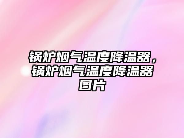 鍋爐煙氣溫度降溫器，鍋爐煙氣溫度降溫器圖片