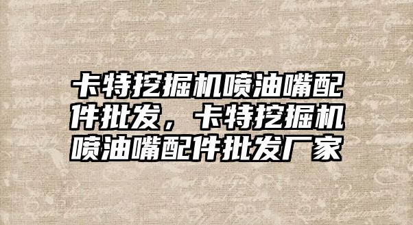 卡特挖掘機(jī)噴油嘴配件批發(fā)，卡特挖掘機(jī)噴油嘴配件批發(fā)廠家