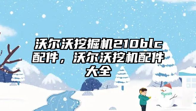 沃爾沃挖掘機210blc配件，沃爾沃挖機配件大全