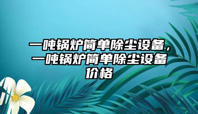 一噸鍋爐簡單除塵設(shè)備，一噸鍋爐簡單除塵設(shè)備價格