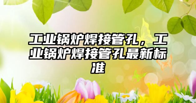 工業(yè)鍋爐焊接管孔，工業(yè)鍋爐焊接管孔最新標(biāo)準(zhǔn)