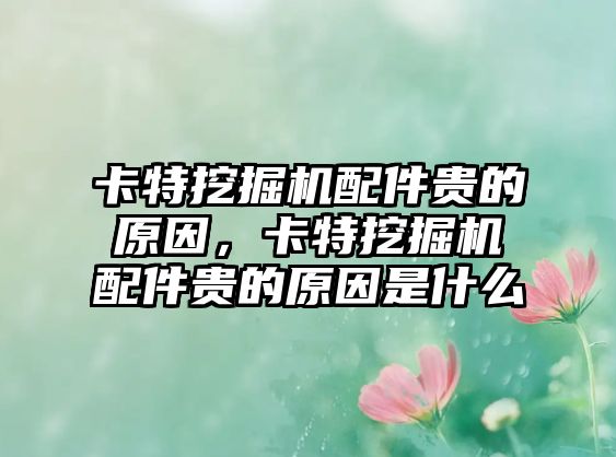 卡特挖掘機(jī)配件貴的原因，卡特挖掘機(jī)配件貴的原因是什么