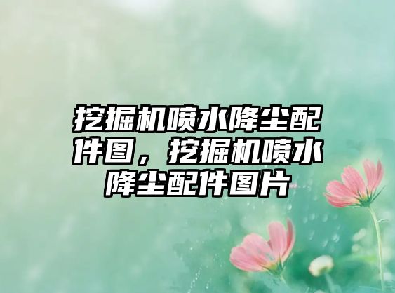 挖掘機(jī)噴水降塵配件圖，挖掘機(jī)噴水降塵配件圖片
