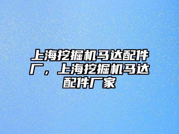 上海挖掘機(jī)馬達(dá)配件廠，上海挖掘機(jī)馬達(dá)配件廠家