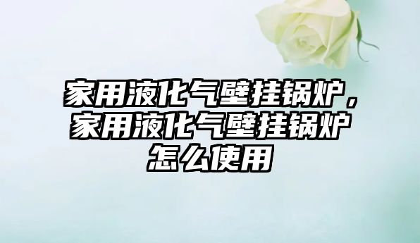 家用液化氣壁掛鍋爐，家用液化氣壁掛鍋爐怎么使用