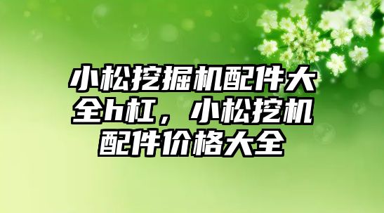 小松挖掘機配件大全h杠，小松挖機配件價格大全