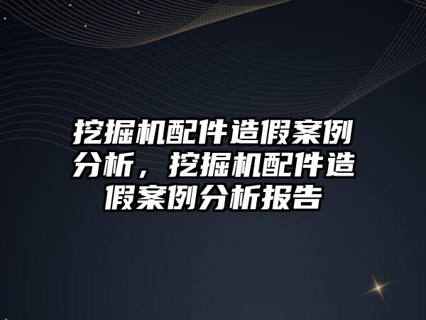 挖掘機(jī)配件造假案例分析，挖掘機(jī)配件造假案例分析報(bào)告