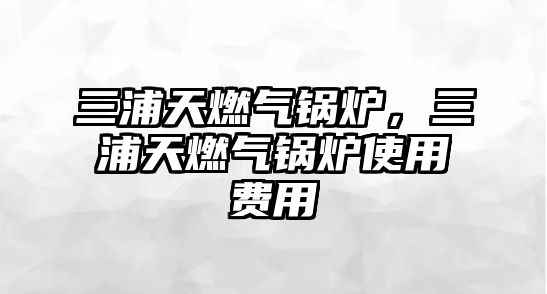 三浦天燃?xì)忮仩t，三浦天燃?xì)忮仩t使用費(fèi)用