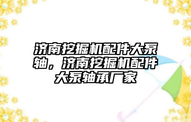 濟(jì)南挖掘機(jī)配件大泵軸，濟(jì)南挖掘機(jī)配件大泵軸承廠(chǎng)家