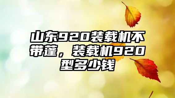 山東920裝載機不帶蓬，裝載機920型多少錢