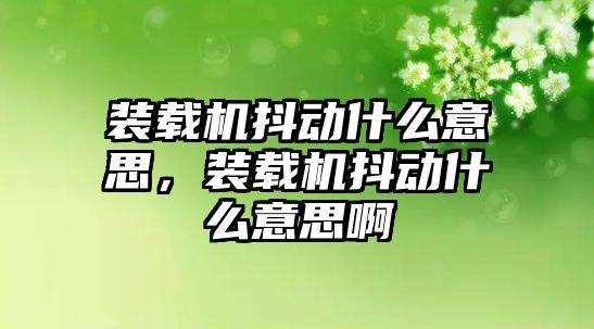 裝載機(jī)抖動(dòng)什么意思，裝載機(jī)抖動(dòng)什么意思啊