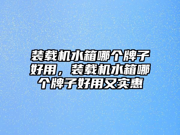 裝載機(jī)水箱哪個(gè)牌子好用，裝載機(jī)水箱哪個(gè)牌子好用又實(shí)惠